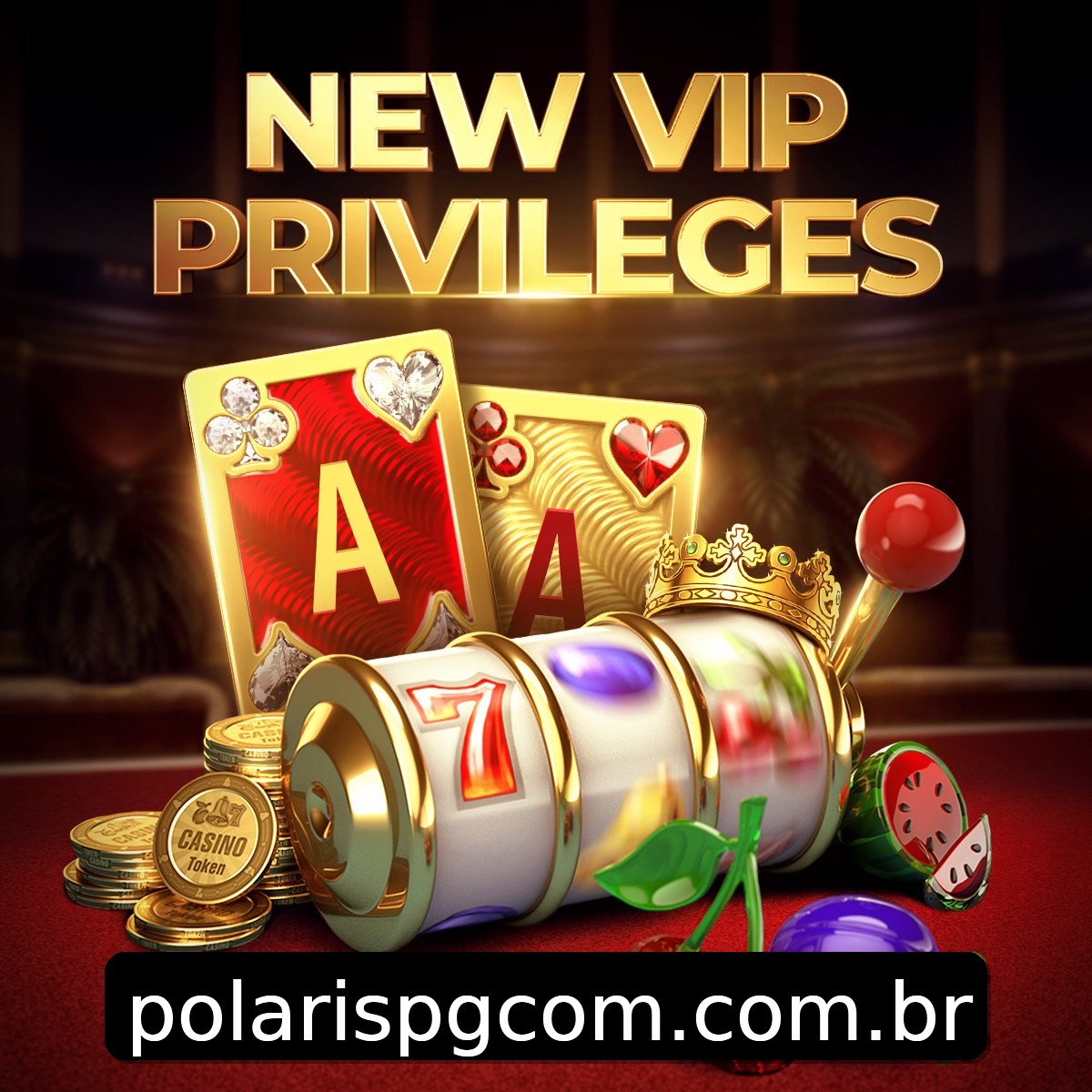 Programa VIP polarispg